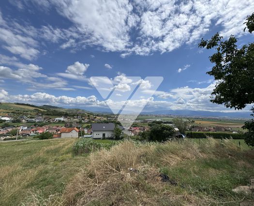 Teren Sura Mare, 500 mp