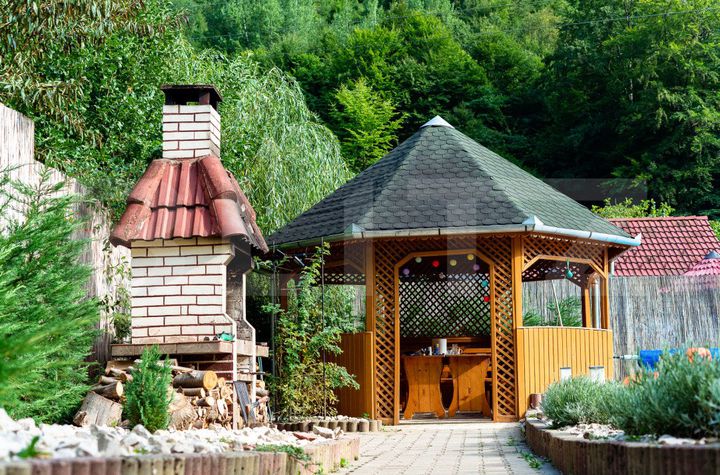 Vilă - 6 camere de vanzare TEIUS - Alba anunturi imobiliare Alba