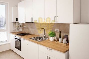 Apartament premium de inchiriat, cu 2 camere, in Braytim anunturi imobiliare Timis