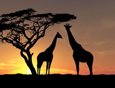 Top 10 – Cele mai mari ţări din Africa