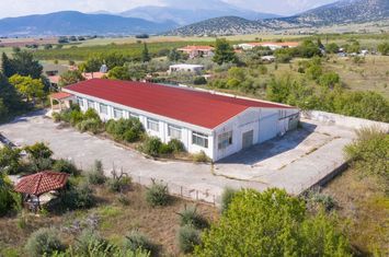 Spațiu industrial 1.000 mp pe teren 3.000 mp anunturi imobiliare Grecia