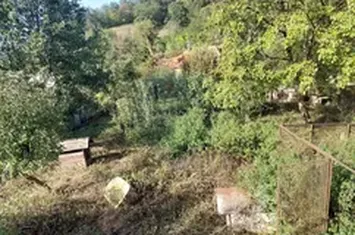 Casă  individuala cu teren generos anunturi imobiliare Mures