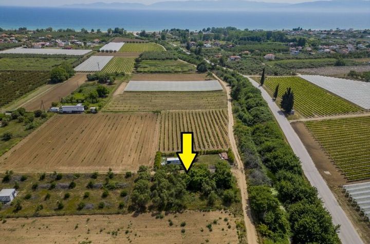 Teren agricol 1.000 mp — Paralia Orfaniou anunturi imobiliare Grecia
