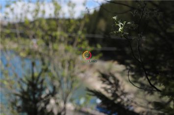 Teren Intravilan de vanzare MOROENI - Dambovita anunturi imobiliare Dambovita