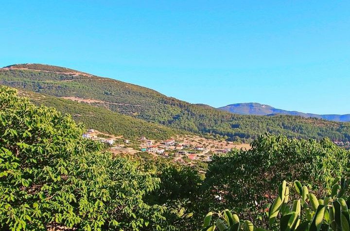 Teren construibil 770 mp în Krioneri, Kavala anunturi imobiliare Grecia