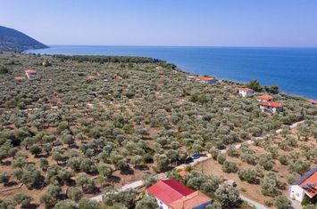Parcelă 2.072 mp în Skala Kallirachis, 170 m de mare anunturi imobiliare Grecia