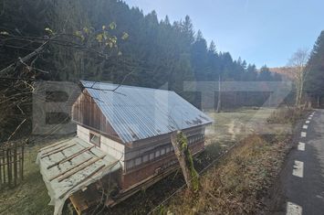 Teren de vanzare VADU MOTILOR - Alba anunturi imobiliare Alba