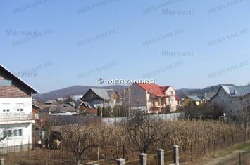 Casă - 10 camere de vanzare MUSCEL - Prahova anunturi imobiliare Prahova