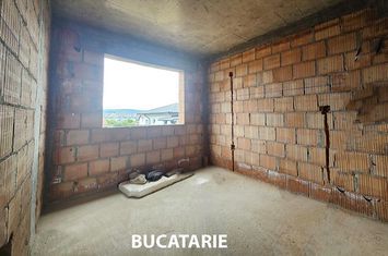 Vilă - 4 camere de vanzare LUNCA CETATUII - Iasi anunturi imobiliare Iasi