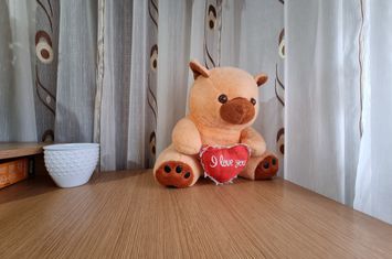 Apartament 2 camere de inchiriat BACAU - Bacau anunturi imobiliare Bacau