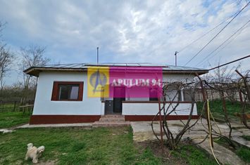 GIURGIU - COM. BUCSANI (OBEDENI) CASA COCHETA DE VANZARE 49K EUR NEG anunturi imobiliare Giurgiu
