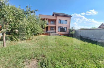 Vilă - 8 camere de vanzare MEHALA - Timis anunturi imobiliare Timis