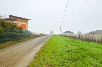 Teren intravilan Domnești-Strada Zori de Zi-Sos. Independentei anunturi imobiliare Bucuresti