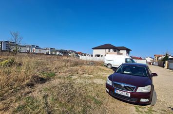 Teren Intravilan de vanzare BRAGADIRU - Bucuresti anunturi imobiliare Bucuresti