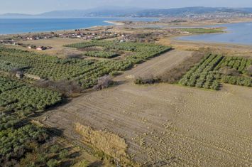 Teren agricol 4.000 mp în Paralia Ofriniou anunturi imobiliare Grecia