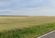 186.008 €, Teren Extravilan