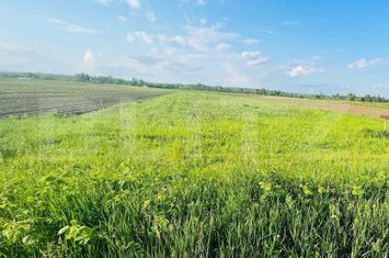 Teren de vanzare TARGOVISTE - Dambovita anunturi imobiliare Dambovita