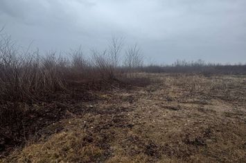 Teren de vanzare TAUTII-MAGHERAUS - Maramures anunturi imobiliare Maramures