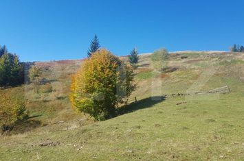Teren de vanzare ORADEA - Bihor anunturi imobiliare Bihor