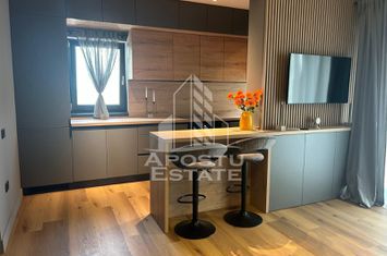 Apartament cu o camera, prima inchiriere, mobilat lux anunturi imobiliare Timis