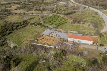Teren 3697 mp cu depozit 240 mp în Moustheni anunturi imobiliare Grecia