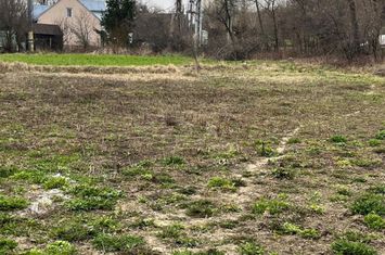 Teren de vanzare SIRET - Suceava anunturi imobiliare Suceava