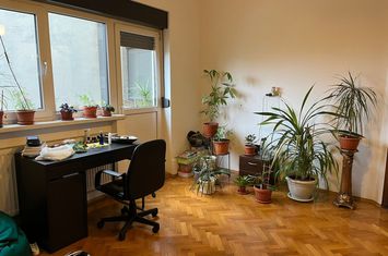 Dacia, Gradina Icoanei, vanzare apartament 3 camere, 87 mp utili+ dependinte, imobil de 3 etaje, anunturi imobiliare Bucuresti