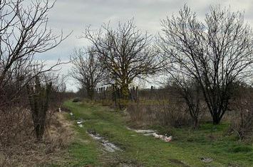 Vanzare - Teren - 600 mp - Popesti - Strada Viilor anunturi imobiliare Bucuresti