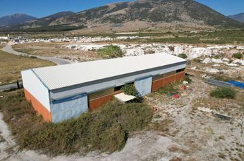 Hala industrială 611 mp în VI.PA. Prosotsanis anunturi imobiliare Grecia