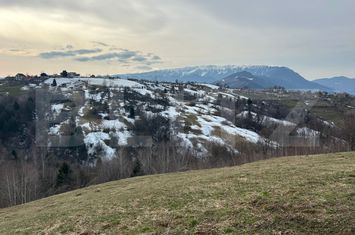 Teren de vanzare BRAN - Brasov anunturi imobiliare Brasov
