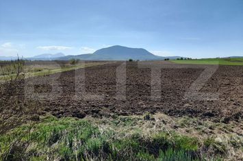 Teren de vanzare CODLEA - Brasov anunturi imobiliare Brasov