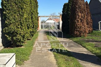 Teren intravilan in Dinias, 996mp, gard de beton si poarta noua anunturi imobiliare Timis