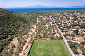 Apartament nou 1 dormitor — Forest Island, Prinos anunturi imobiliare Grecia