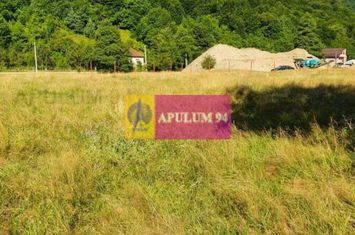 Teren Județul Vâlcea - Brezoi, Valea lui Stan anunturi imobiliare Valcea