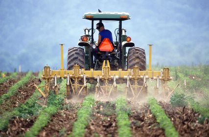 Terenurile agricole din România: aurul negru, epuizat rapid de străinii care cumpără en-gros