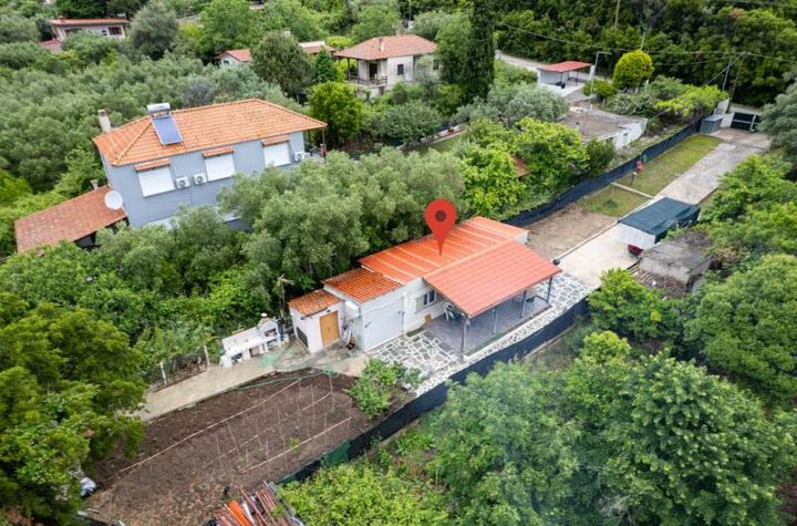 Casă parter 45 mp pe teren 558 mp, Nea Iraklitsa anunturi imobiliare Grecia