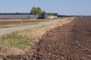 Branesti teren intravilan 30700 mp anunturi imobiliare Bucuresti