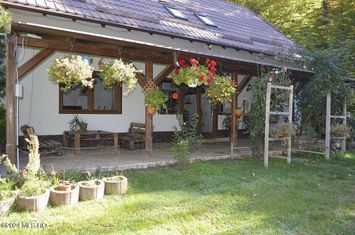 Topoloveni - Casa cu teren 1500 mp langa padure, garaj, anexe anunturi imobiliare Arges