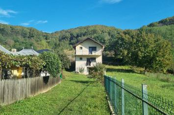 Vilă - 4 camere de vanzare BACAU - Bacau anunturi imobiliare Bacau