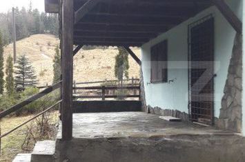 Casă - 3 camere de vanzare BISTRITA - Bistrita-Nasaud anunturi imobiliare Bistrita-Nasaud