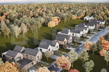 Teren de vanzare SALICEA - Cluj anunturi imobiliare Cluj