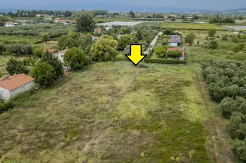 Teren 1000 mp, Paralia Orfaniou — 550 metri de mare anunturi imobiliare Grecia