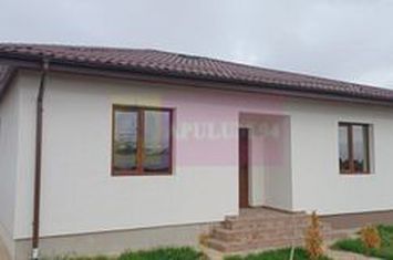 Săbăreni, casă nouă, 3 camere, 2 băi, bucătărie, terasă, pivniță anunturi imobiliare Giurgiu