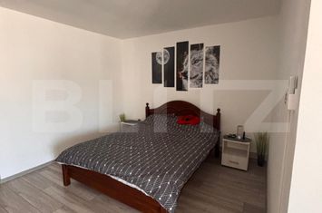 Garsonieră de vanzare APAHIDA - Cluj anunturi imobiliare Cluj