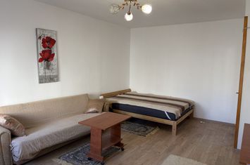 Tineretului, la 5 minute distanta de metrou, garsoniera mobilata si utilata, 39 mp totali, anunturi imobiliare Bucuresti