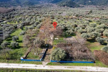 Complex de 3 locuințe pe teren 2500 mp, Skala Potamias anunturi imobiliare Grecia