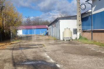 Spațiu industrial de vanzare BALTESTI - Prahova anunturi imobiliare Prahova