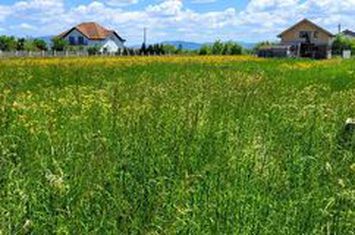 Teren de vanzare HARMAN - Brasov anunturi imobiliare Brasov