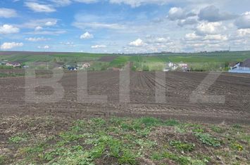 Teren de vanzare SUCEAVA - Suceava anunturi imobiliare Suceava