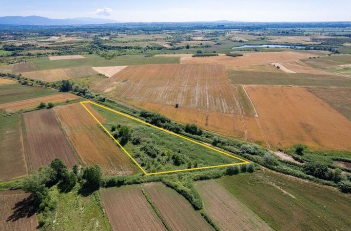 Teren 9.534 mp în Gerontas, nivelat și irigabil anunturi imobiliare Grecia